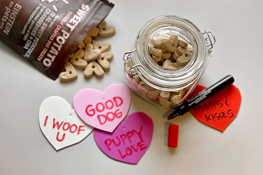 Show Your Dog Some Love with these DIY Valentine’s Day Dog Treat Jars