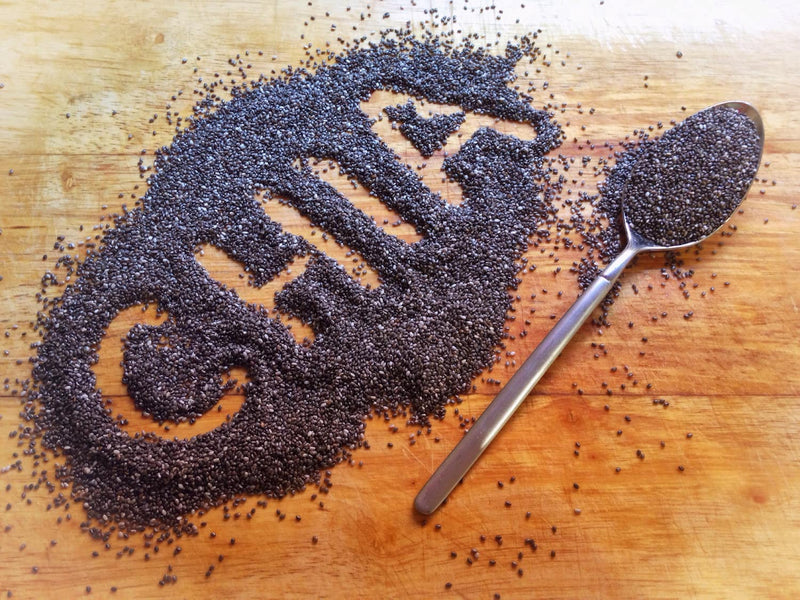 14 Reasons Why Chia Seeds Should Be Part of Your Dog’s Daily Diet