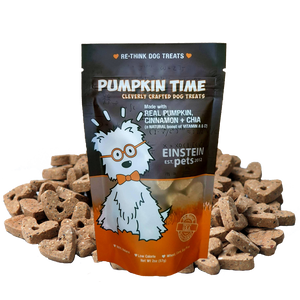 Classics :: PUMPKIN TIME